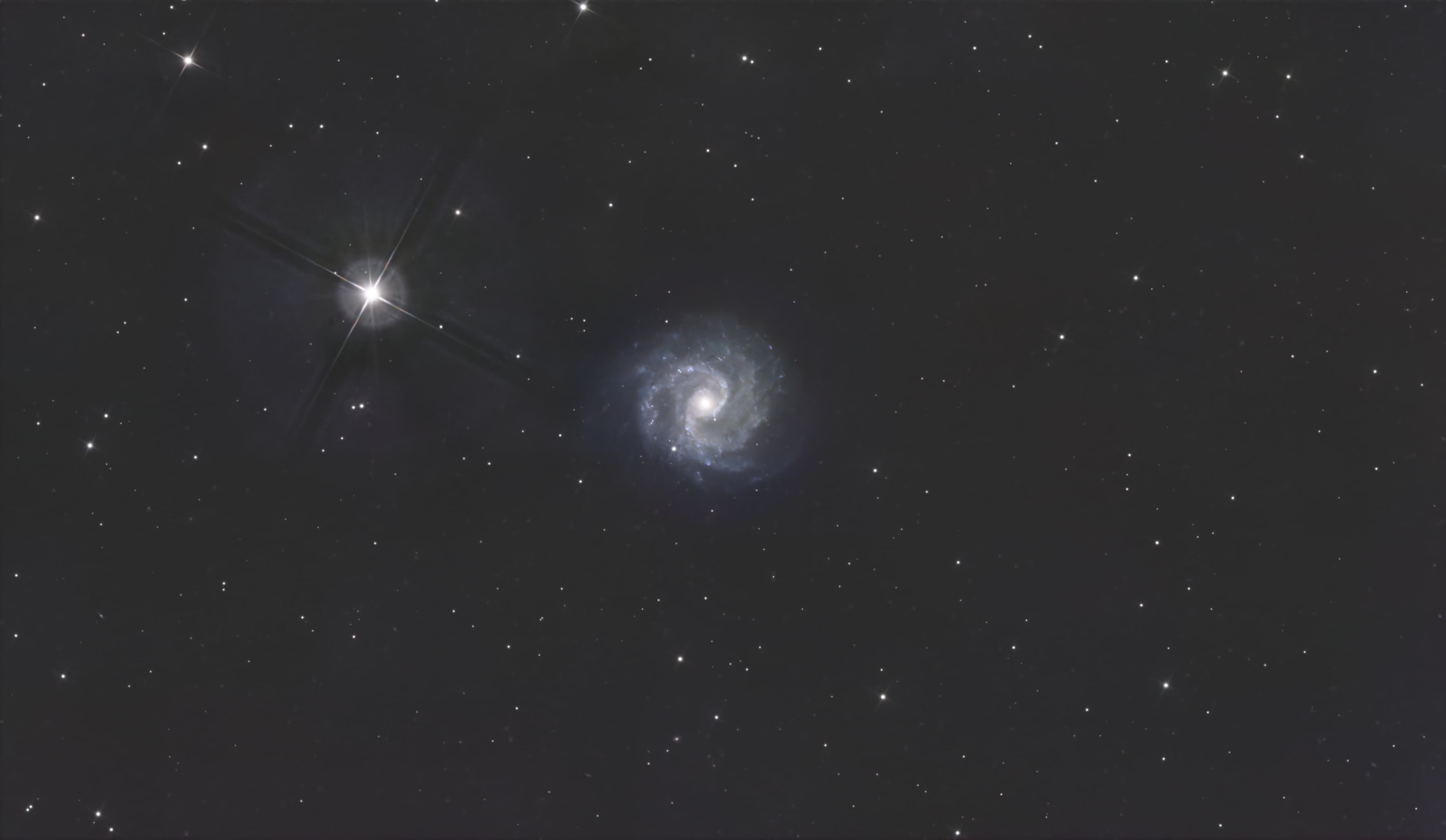 NGC3184