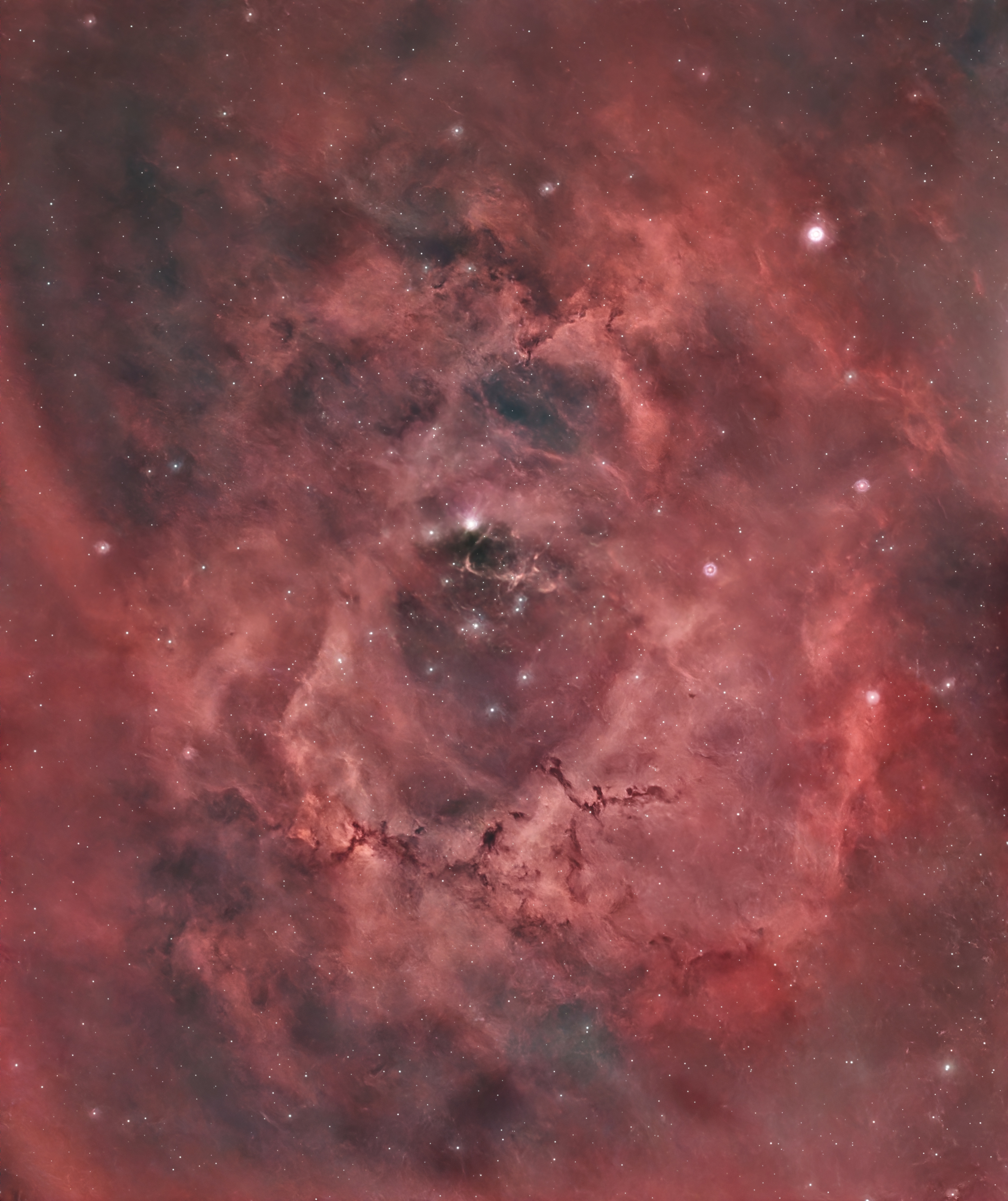 The Rosette Nebula.